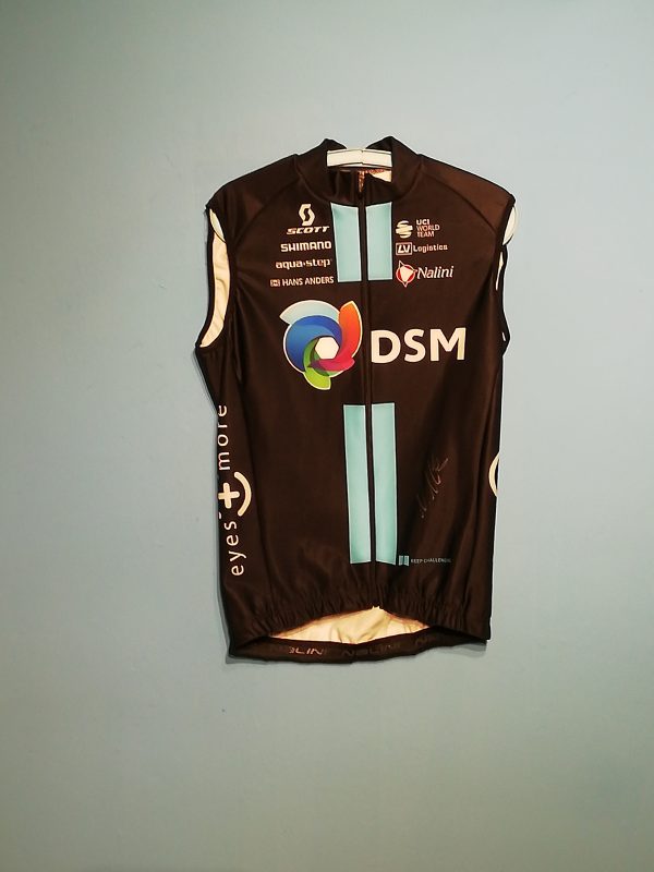DSM-YOUFONE 2023